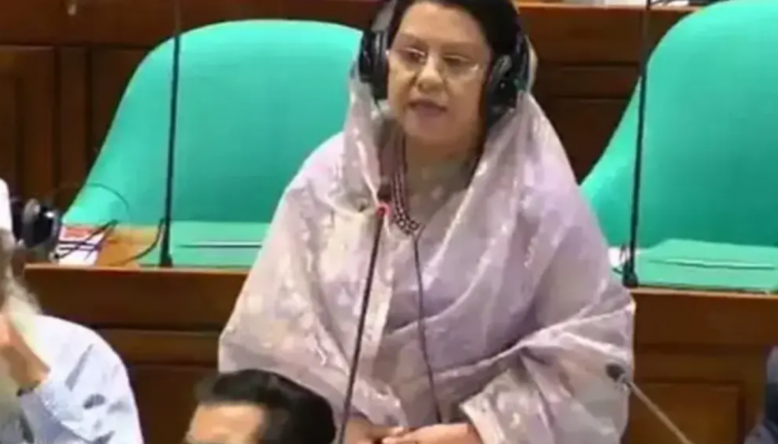 বিমান লাভজনক প্রতিষ্ঠান, আয় বাড়াতে নতুন উড়োজাহাজ সংযোজনের সুযোগ আছে