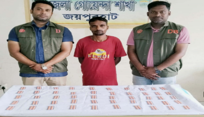 ​কালাইয়ে ডিবি পুলিশের ঝটিকা অভিযান: টাপেন্টাডলসহ মাদক ব্যবসায়ী আটক