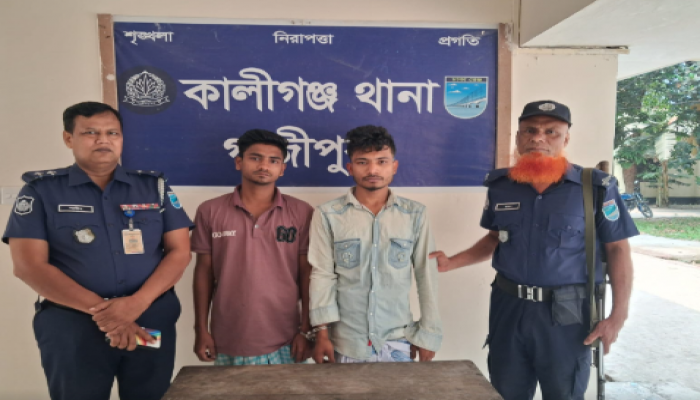 ​কালীগঞ্জে মাদকবিরোধী পৃথক অভিযান: ৬ জন গ্রেপ্তার, ২ জনকে সাজা