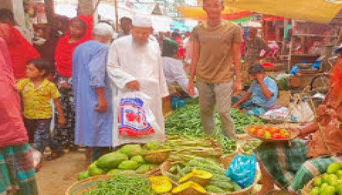 ​কাউখালীতে সবজির বাজারে আগুন: দিশেহারা সাধারণ ক্রেতা, নেই কার্যকর মনিটরিং