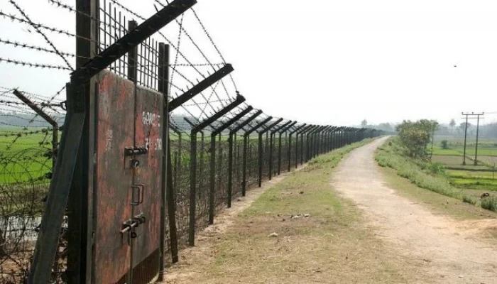 মহেশপুর সীমান্তে বাংলাদেশি ৩ যুবককে আটক করল বিএসএফ