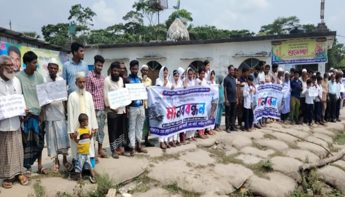 তেতুলিয়া নদীর ভয়াল ভাঙন: মানববন্ধনে ফুঁসে উঠল দশমিনা, দ্রুত টেকসই বাঁধের দাবি