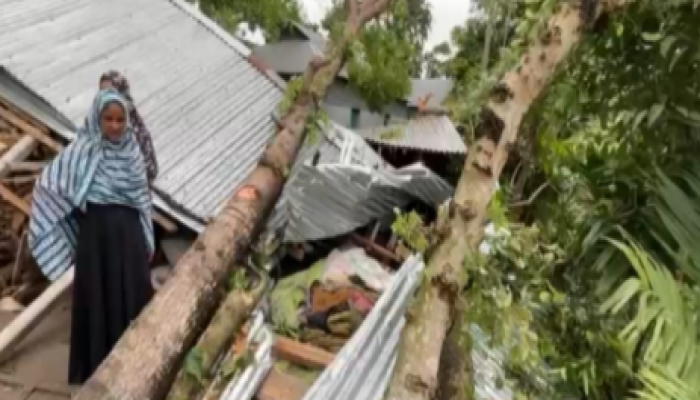 ​জামালপুরে  কালবোশেখী ঝড়ে গাছের নিচে চাপা পড়ে মা ও দুই মেয়েসহ ৩ জন নিহত