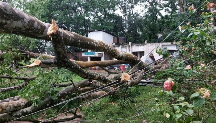 হবিগঞ্জ কালবৈশাখীর তাণ্ডব, বজ্রপাত ও ঝড়-তুফানে বিপর্যস্ত জনজীবন, ৩ জনের প্রাণহানী