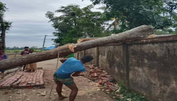 কালবৈশাখীর তাণ্ডবে ব্রাহ্মণপাড়ায় বিদ্যুৎ বিপর্যয়, জনদুর্ভোগ চরমে