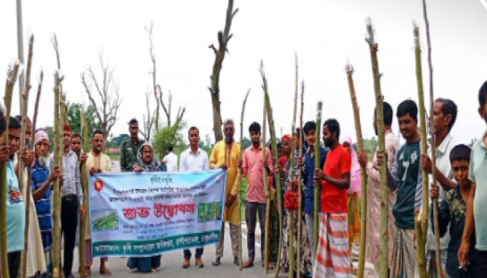 ​রাণীশংকৈলে পুষ্টি নিরাপত্তা ও অর্থনীতি শক্তিশালী করতে সজিনা চাষের রোপণ কার্যক্রমের উদ্বোধন