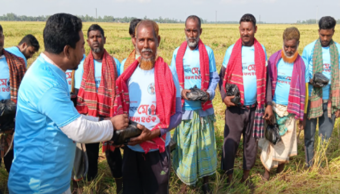 ​সিংড়ায় যুবদল নেতা হুমায়ুনের ধান কাটা  শ্রমিকদের মাঝে খাবার ও গামছা বিতরণ