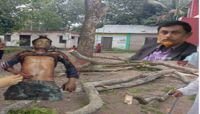 ​বুড়িচংয়ে ট্রেন্ডারবিহীন স্কুলের গাছ বিক্রয় ইলেক্ট্রিক করাত দিয়ে গাছ কাটতে গিয়ে করাতের আঘাতে এক শ্রমিক নিহত