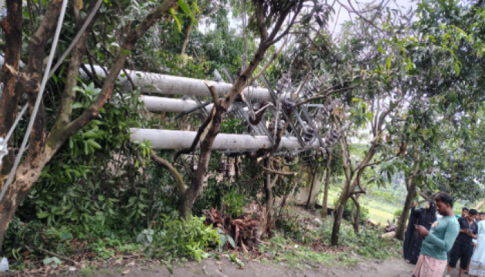 ​কালীগঞ্জে বিদ্যুতের খুঁটি ভেঙে অটোরিকশার ওপর, শিক্ষিকা নিহত; আহত ২