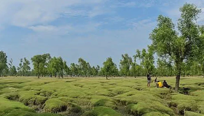 গুলিয়াখালী সৈকতে পর্যটকদের ওপর হামলা, ৫ জনের বিরুদ্ধে মামলা