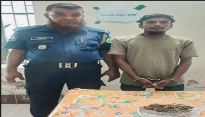 বানারীপাড়ায় গাঁজাসহ মাদক কারবারি গ্রেপ্তার