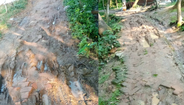 ​“রাস্তা নেই, উন্নয়নও থমকে”:পাকুরিয়ায় কাদা-ধুলোয় বন্দি জনজীবন