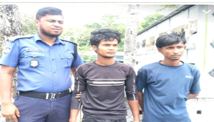 ​বানারীপাড়ায় গাঁজাসহ  আটক দুই যুবককে মোবাইল কোর্টে সাজা