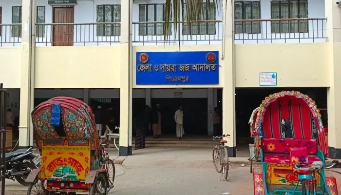পিরোজপুরে ধর্ষণ মামলায় দুই আসামির যাবজ্জীবন