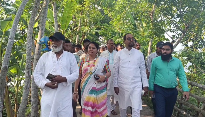 বিষখালী নদীভাঙন এলাকা পরিদর্শনে এমপি জামাল টেকসই বেড়িবাঁধ নির্মাণের আশ্বাস