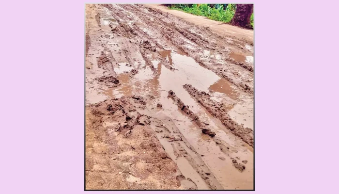 পত্নীতলায় সড়কের বেহাল দশা, দ্রুত সংস্কারের দাবি স্থানীয়দের