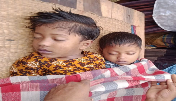 ফুলবাড়ী উপজেলার খয়েরবাড়ীতে পুকুরে ডুবে দুই ভাই বোনের মর্মান্তিক মৃত্যু