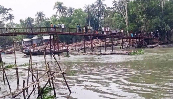 নেছারাবাদে কাঠবোঝাই ট্রলার ডুবি, মাঝির লাশ উদ্ধার