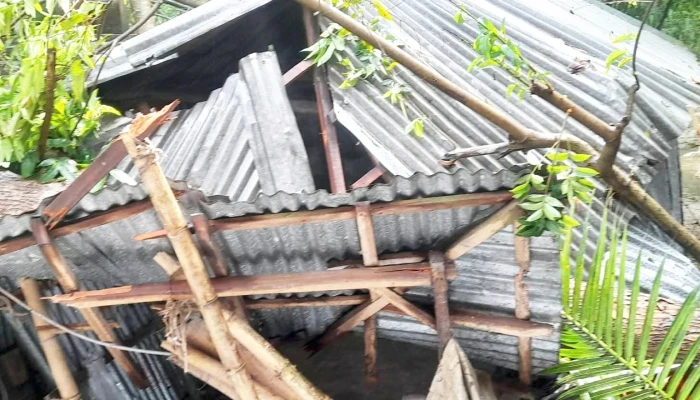 ‎বগুড়ায় ঝড়ের সময় আম কুড়াতে গিয়ে নারীর মৃত্যু