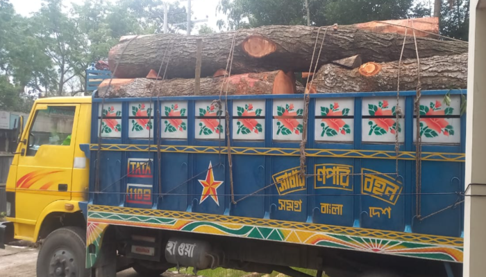 ​মাধবপুরে মহাসড়কে ২৫০ টি মেহগনি বল্লী ট্রাক সহ একজন আটক করেছে বন বিভাগ ...