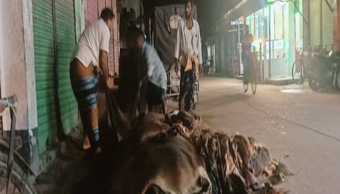 কোরবানির চামড়া বাজারে সংকট, সিন্ডিকেট নিয়ে অভিযোগ