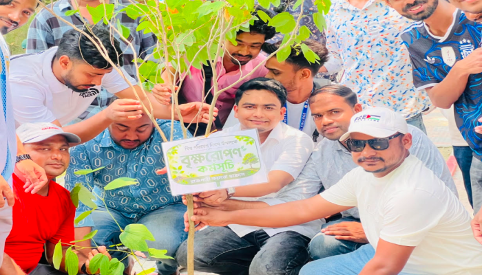রাজশাহী মহানগর ছাত্রদলের বৃক্ষরোপণ কর্মসূচি অনুষ্ঠিত