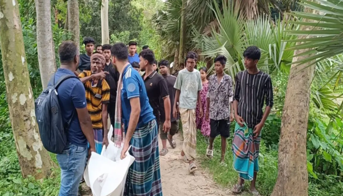 মানিকগঞ্জে মেয়ের হাতে মা খুন