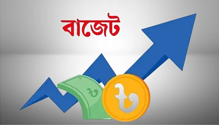 বাজেটে যেসব পণ্যের দাম বাড়তে পারে ও কমতে পারে।