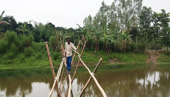 কুড়িগ্রামের উলিপুরে ঝুঁকিপূর্ণ বাঁশের সাঁকোতে ২০ হাজার মানুষের পারাপার