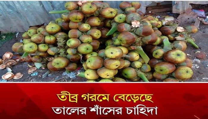 তীব্র গরমে বেড়েছে তালের শাঁসের চাহিদা