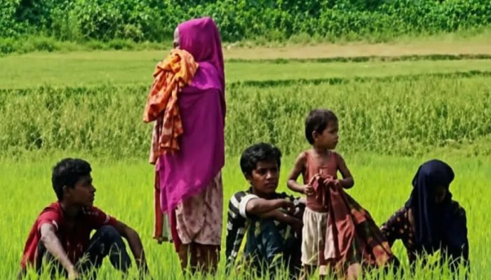 বিজিবি-বিএসএফের পতাকা বৈঠকের ফলাফল শূন্য, সীমান্তরেখায় ৬ নারী-শিশুর দিন কাটছে অনাহারে