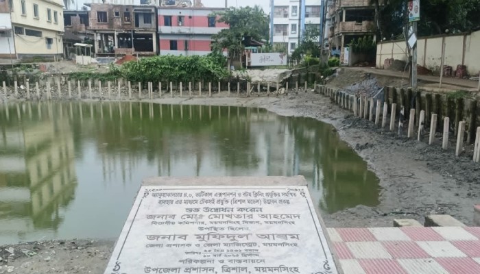 পুকুর নয় যেন সোনার খনি: ত্রিশালে কোটি টাকার প্রকল্প ঘিরে বিতর্ক