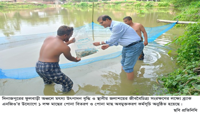 মৎস্যসম্পদ বৃদ্ধিতে আমবাড়ীতে ব্র্যাকের পোনা অবমুক্তকরণ কর্মসূচি॥