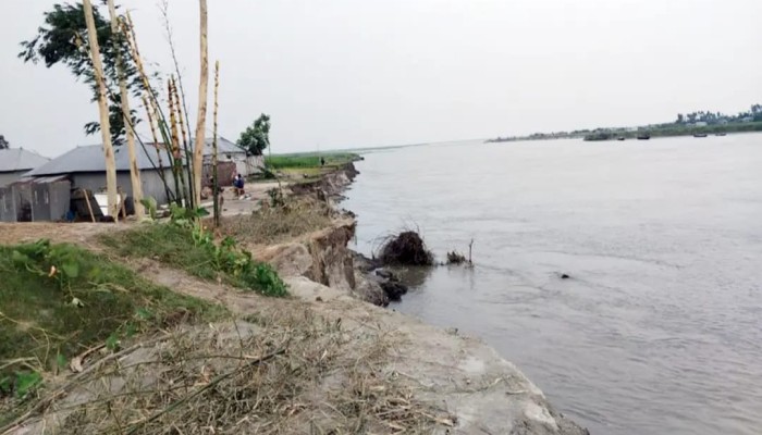 ব্রহ্মপুত্রের ভাঙনে বিলীন ৫০ ঘরবাড়ি, হুমকির মুখে আরো শতাধিক পরিবার