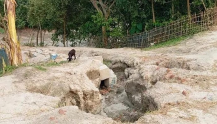 কুড়িগ্রামে কোটি টাকার বাঁধ কেটে বালুর রাজত্ব, হুমকির মুখে ডানতীর রক্ষা বাঁধ