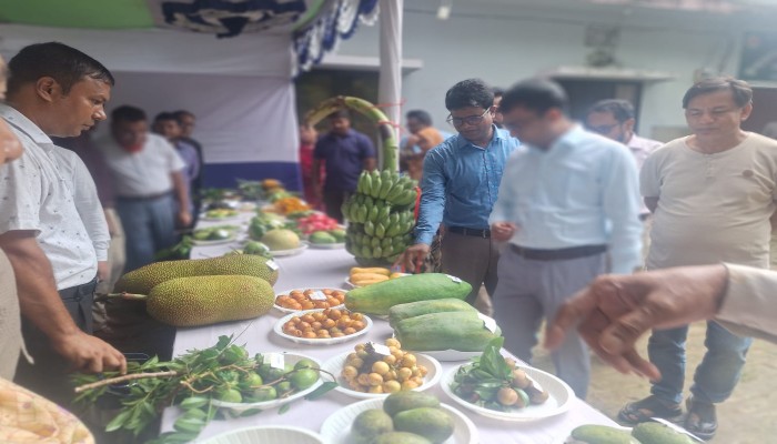 নাইক্ষ‍্যংছড়িতে জাতীয় কৃষি ফল মেলা শুভ উদ্বোধন ২০২৬