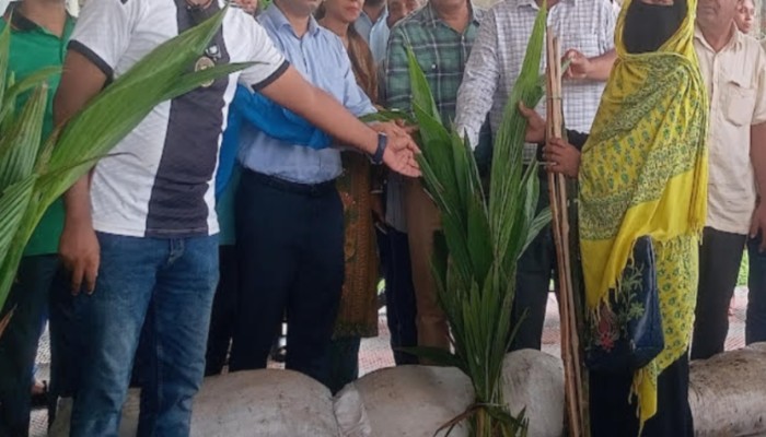 কাউখালীতে কৃষকরা পেলেন নারকেল চারা ও গোবর