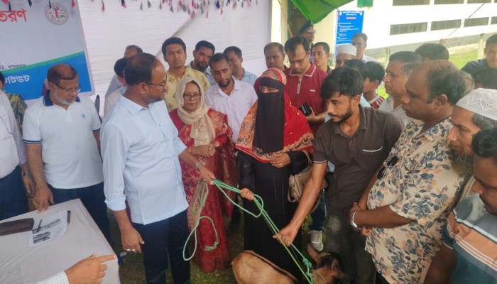 নাইক্ষ্যংছড়ি গয়াল গবেষণা কেন্দ্রে খামারিদের মাঝে ছাগল-মুরগি বিতরণ প্রাণিসম্পদ খাতকে আধুনিক ও লাভজনক করতে কাজ করছে সরকার : প্রতিমন্ত্রী সুলতান সালাউদ্দিন টুকু