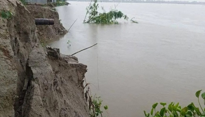তিস্তার ৩০ পয়েন্টে তীব্র ভাঙন, বিলীন হচ্ছে ভিটেমাটি ও ফসলি জমি