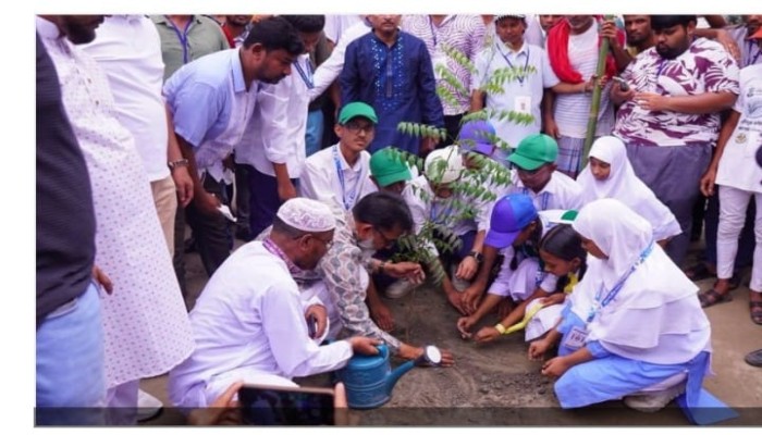 মানিকনগর মডেল হাই স্কুলে জাতীয় বৃক্ষরোপণ কর্মসূচি অনুষ্ঠিত