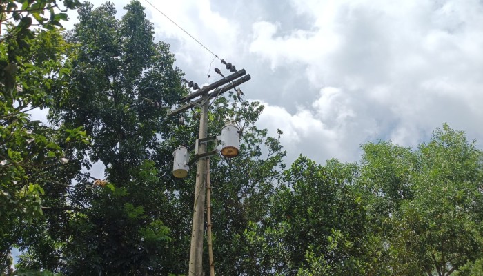 কালীগঞ্জে কৃষকদের পাহারায় ব্যর্থ ট্রান্সফরমার চুরি, ফেলে গেল পরিচয়পত্রের ফটোকপিসহ নানা আলামত
