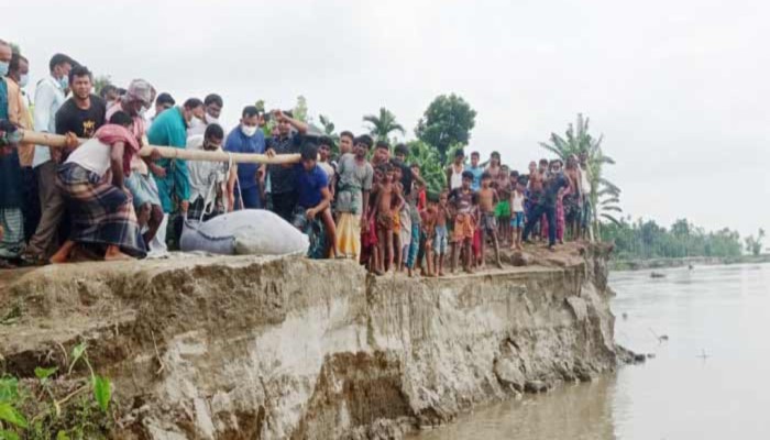 তিস্তায় বিলীন ২৫ ভিটেবাড়ি, দিশেহারা শতাধিক পরিবার