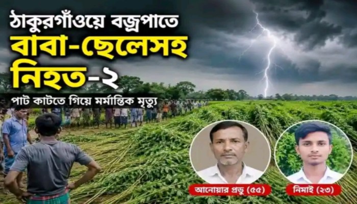 ঠাকুরগাঁওয়ে পাটকাটতে গিয়ে বাবাও ছেলের মৃত্যু