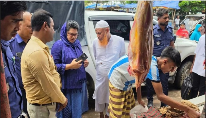 কটিয়াদীতে পঁচা গরুর মাংস বিক্রির দায়ে জরিমানা