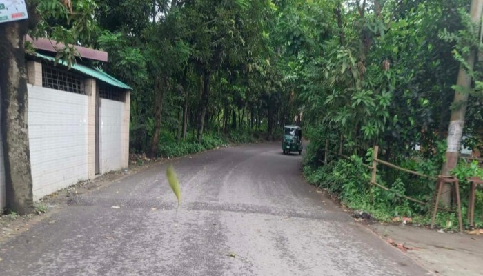 ব্রাহ্মণপাড়া বুড়িচং -কুমিল্লা সড়ক  ২১ কিলোমিটারের সড়কে ৫০ স্পিড ব্রেকার, ভোগান্তিতে যাত্রী ও চালকেরা