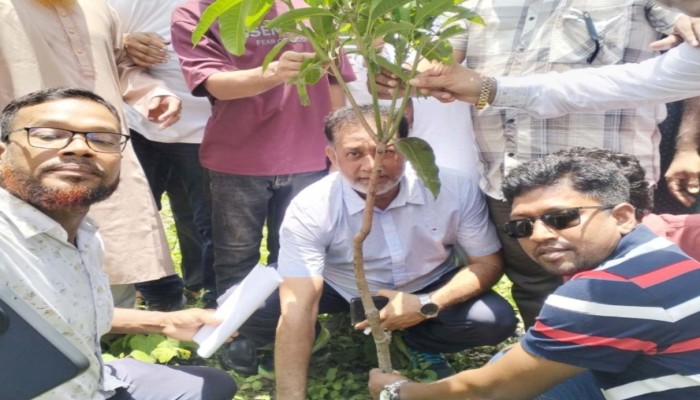 মুলাদীতে বৃক্ষরোপন করে বিএনপি নেতা ও শিল্পপতি সিহাব উদ্দিন পেশকার ব্যাপক প্রশংসিত