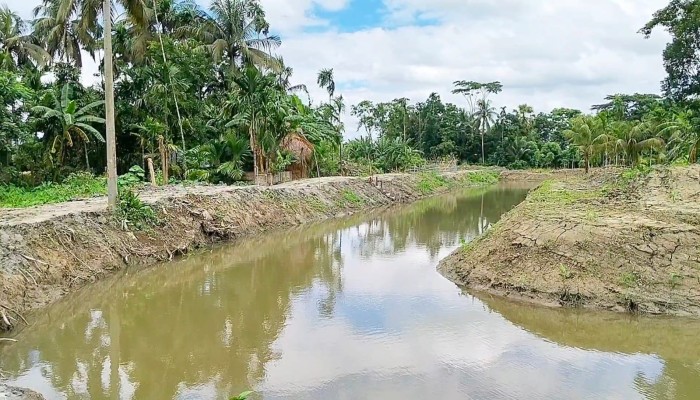রাজাপুরে খাল পুনঃখননে ফিরছে কৃষিজমির প্রাণ উপকৃত হবেন ২৪ হাজারের বেশি মানুষ, কমবে জলাবদ্ধতা, বাড়বে কৃষি ও মাছের উৎপাদন