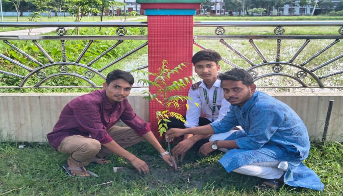 সবুজে সাজবে কুড়িগ্রাম সরকারি কলেজ: বৃক্ষরোপণ কর্মসূচি ২০২৬-এর উদ্বোধন