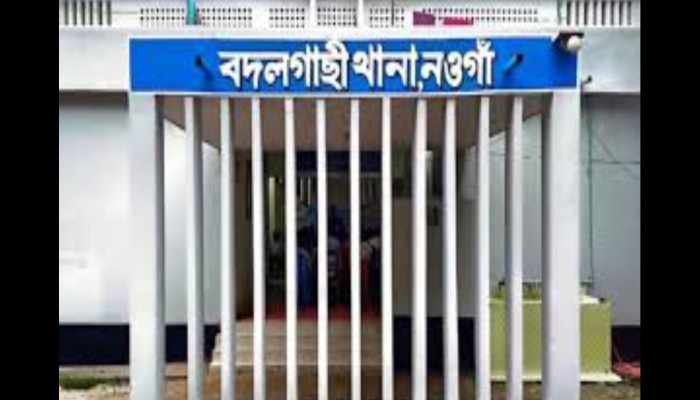 বদলগাছীতে জমির বিরোধে ছোট ভাইয়ের লাঠির আঘাতে বড় ভাই নিহত, গ্রেফতার ২