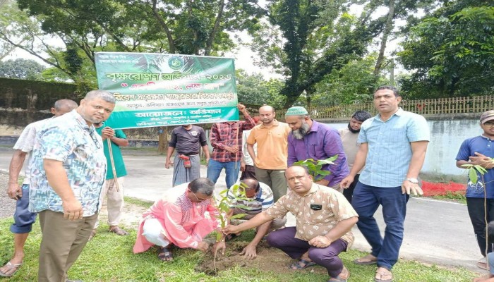 লালমনিরহাটে অভিযান ক্লাবের বৃক্ষরোপণ ও পরিচ্ছন্নতা কর্মসূচি